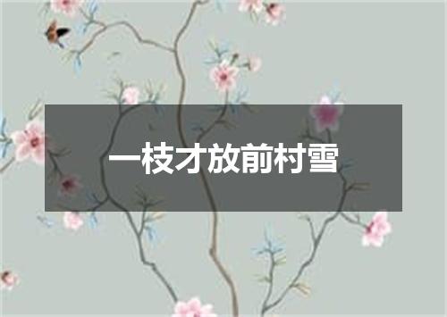 一枝才放前村雪