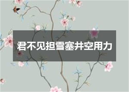 君不见担雪塞井空用力