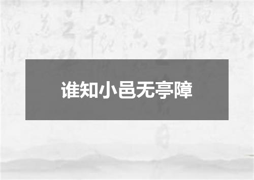 谁知小邑无亭障