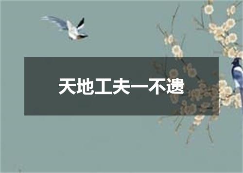 天地工夫一不遗