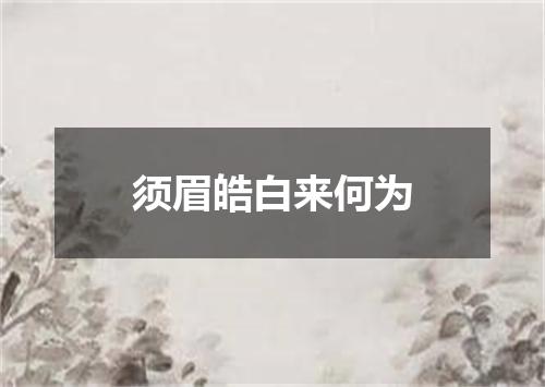 须眉皓白来何为