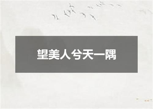 望美人兮天一隅