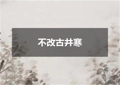 不改古井寒