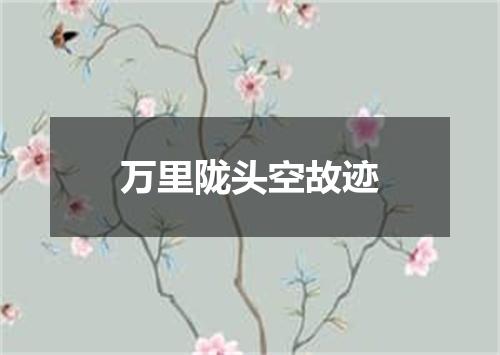 万里陇头空故迹