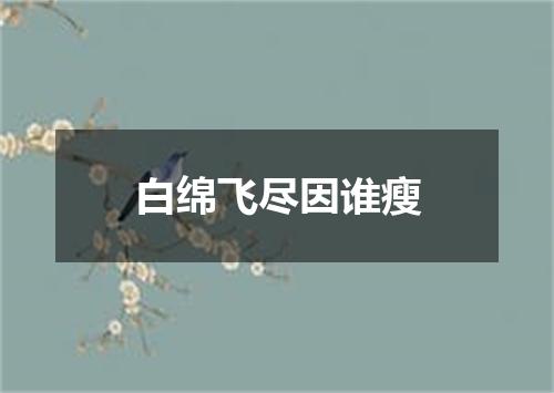白绵飞尽因谁瘦