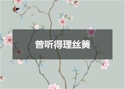 曾听得理丝簧