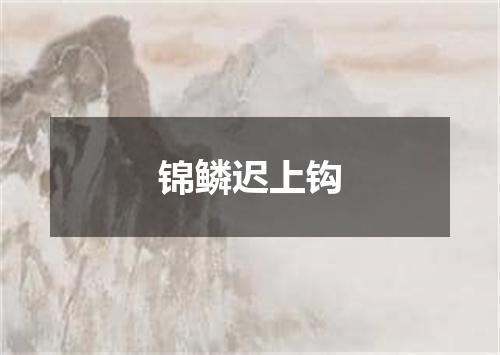 锦鳞迟上钩