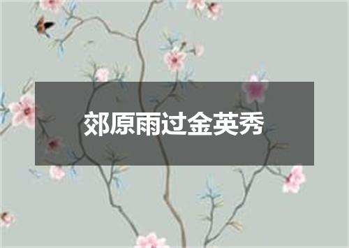 郊原雨过金英秀