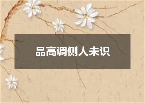 品高调侧人未识