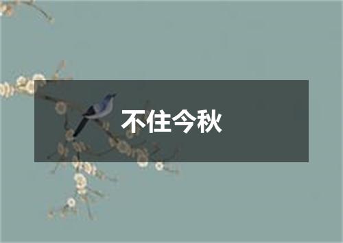 不住今秋