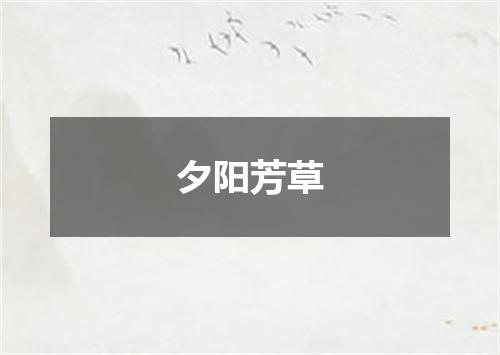 夕阳芳草