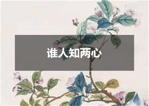 谁人知两心