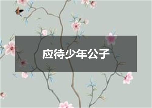 应待少年公子