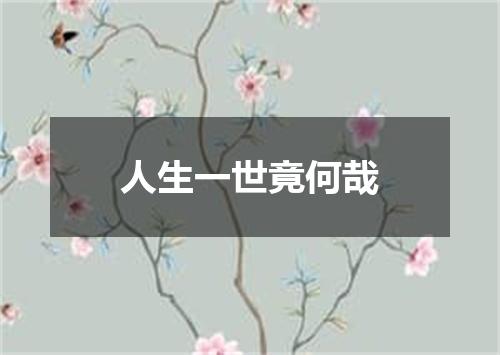 人生一世竟何哉