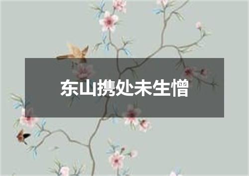 东山携处未生憎