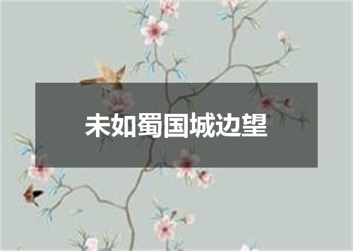 未如蜀国城边望