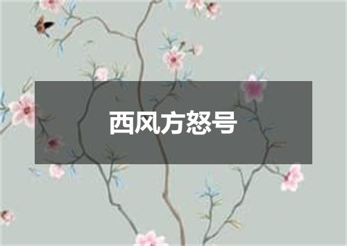 西风方怒号