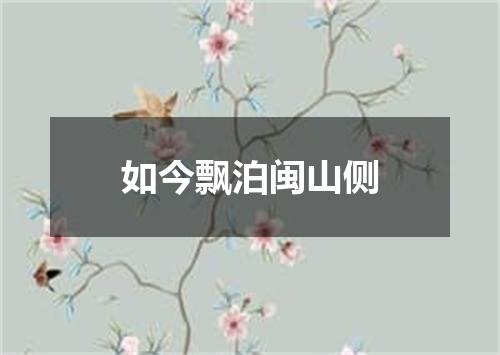 如今飘泊闽山侧
