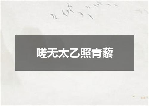 嗟无太乙照青藜