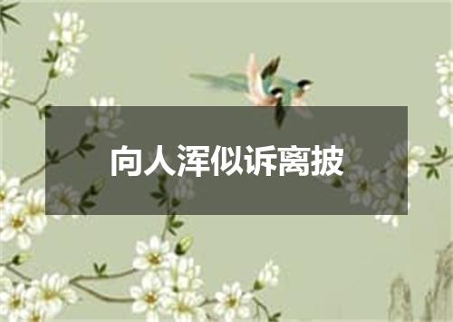 向人浑似诉离披