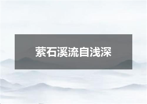 萦石溪流自浅深