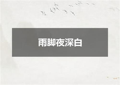 雨脚夜深白