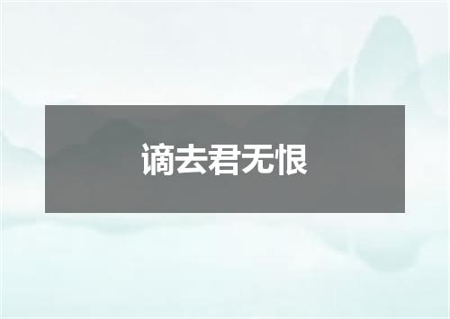 谪去君无恨