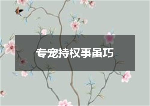 专宠持权事虽巧
