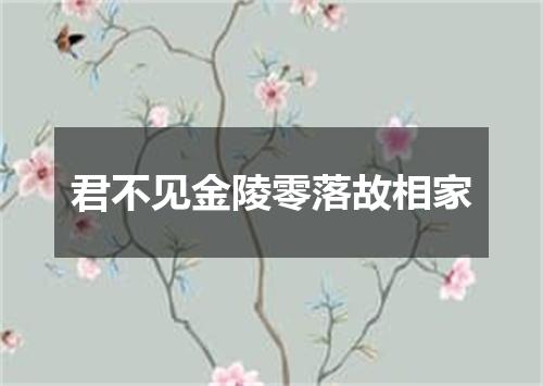 君不见金陵零落故相家