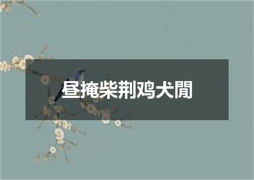 昼掩柴荆鸡犬閒
