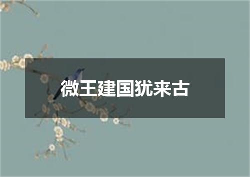 微王建国犹来古