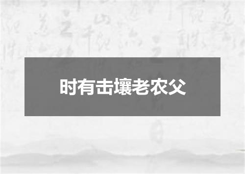 时有击壤老农父