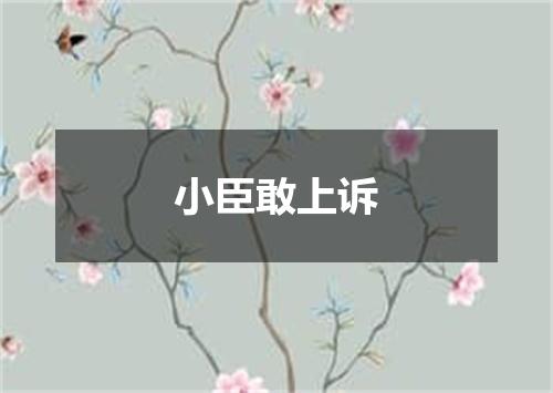 小臣敢上诉