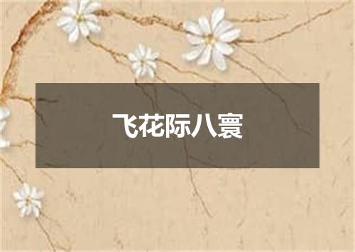 飞花际八寰