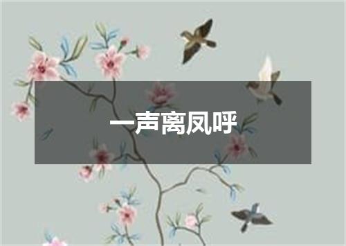 一声离凤呼