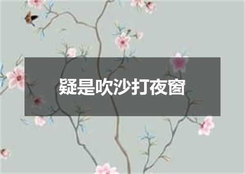 疑是吹沙打夜窗