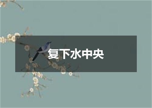 复下水中央