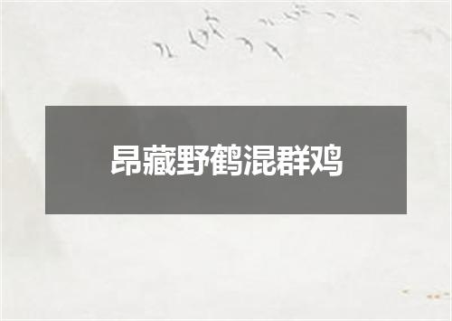 昂藏野鹤混群鸡