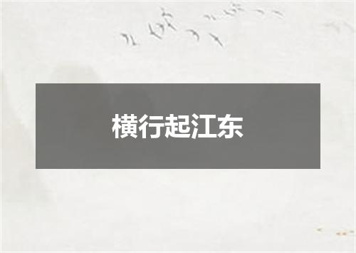 横行起江东
