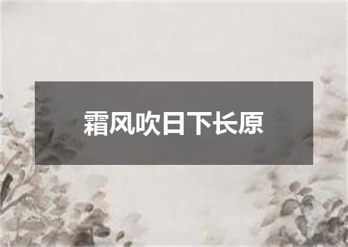 霜风吹日下长原