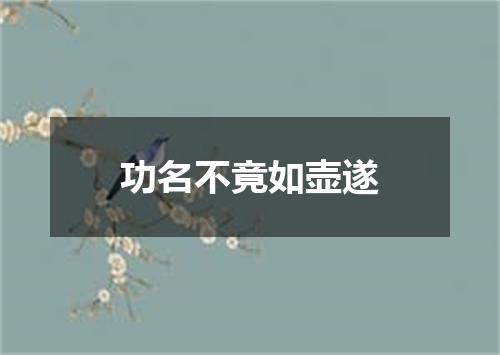 功名不竟如壶遂