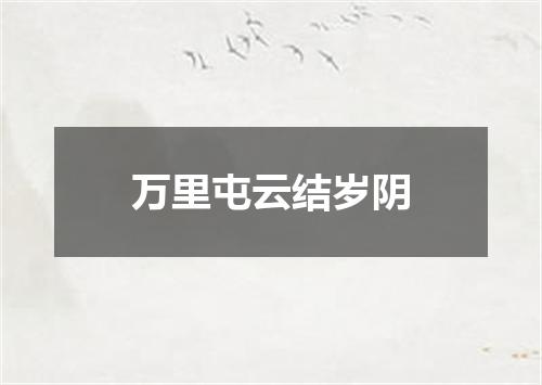万里屯云结岁阴