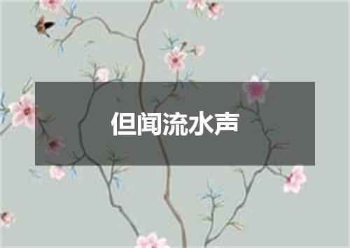但闻流水声