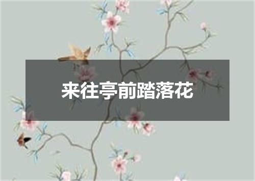 来往亭前踏落花