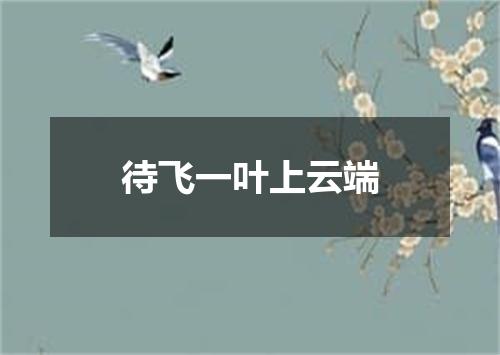 待飞一叶上云端