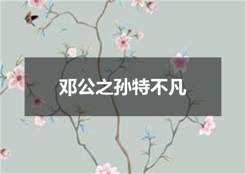 邓公之孙特不凡