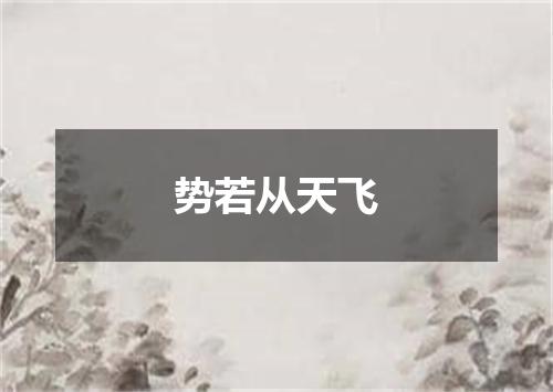 势若从天飞