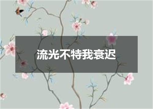 流光不特我衰迟