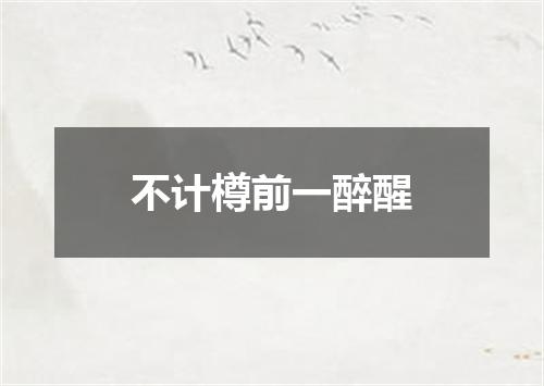不计樽前一醉醒