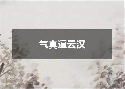 气真逼云汉